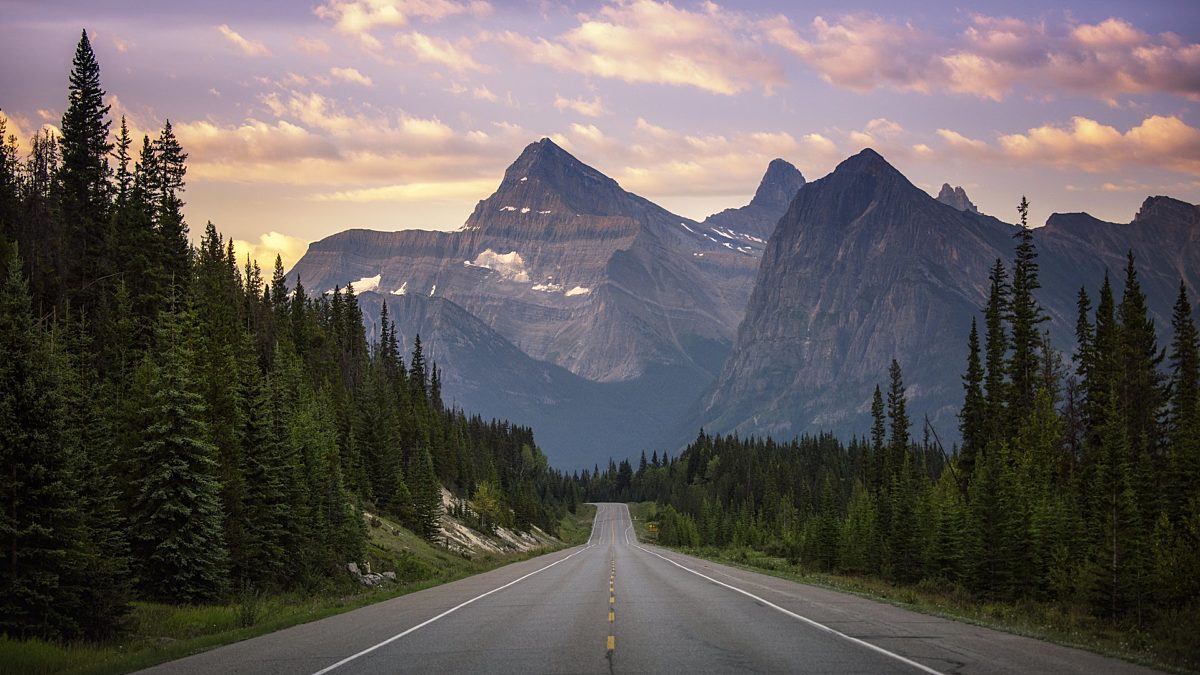 Icefield Parkway CR Sarah Hatton large