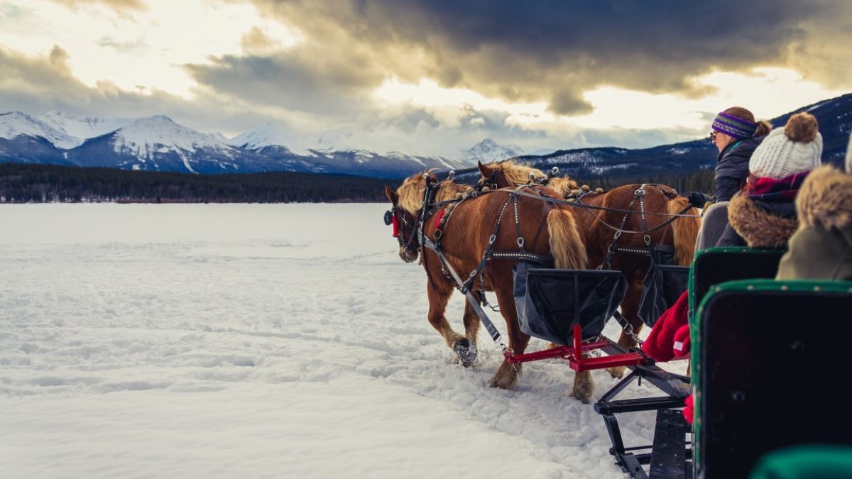 Sleigh Ride-Leslie-Crawley- lescrawley-IG-Medium