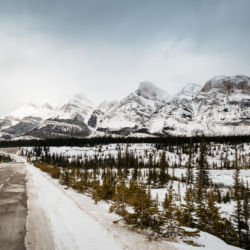Icefields Parkway Winter View
