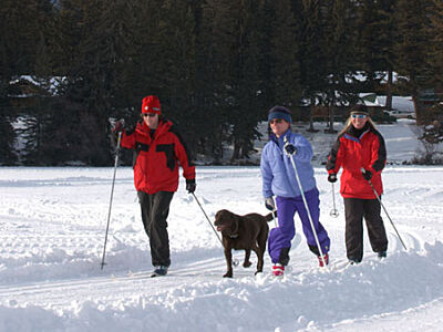 Cross Country Skiing