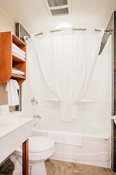 Standard Room Bath & Shower
